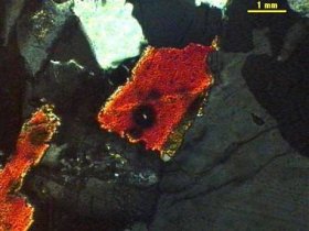 Biotite LPA